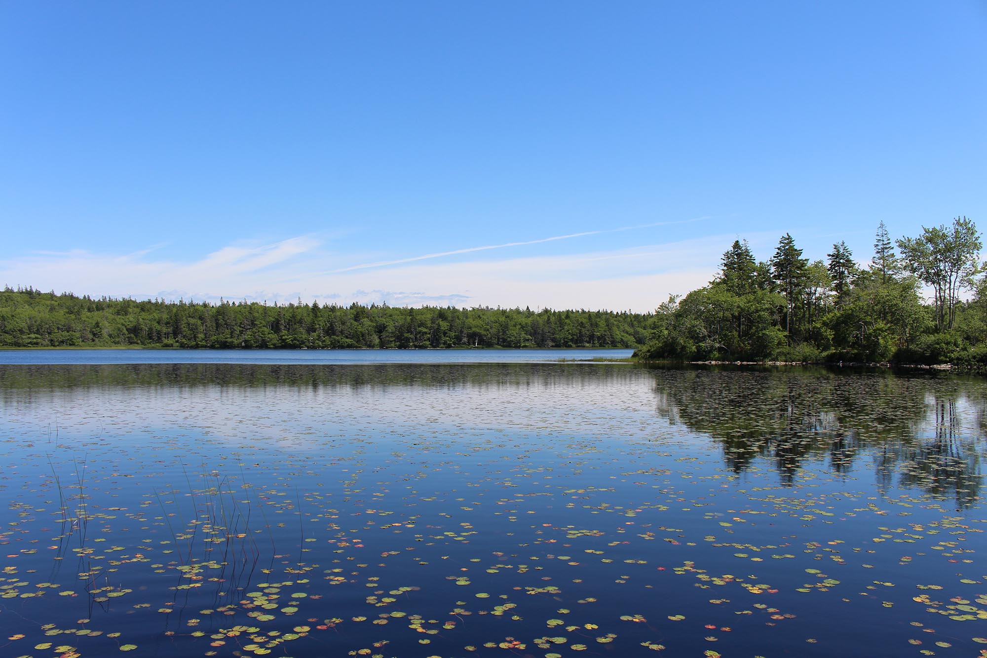 Castle Lake Campground & Cottages 