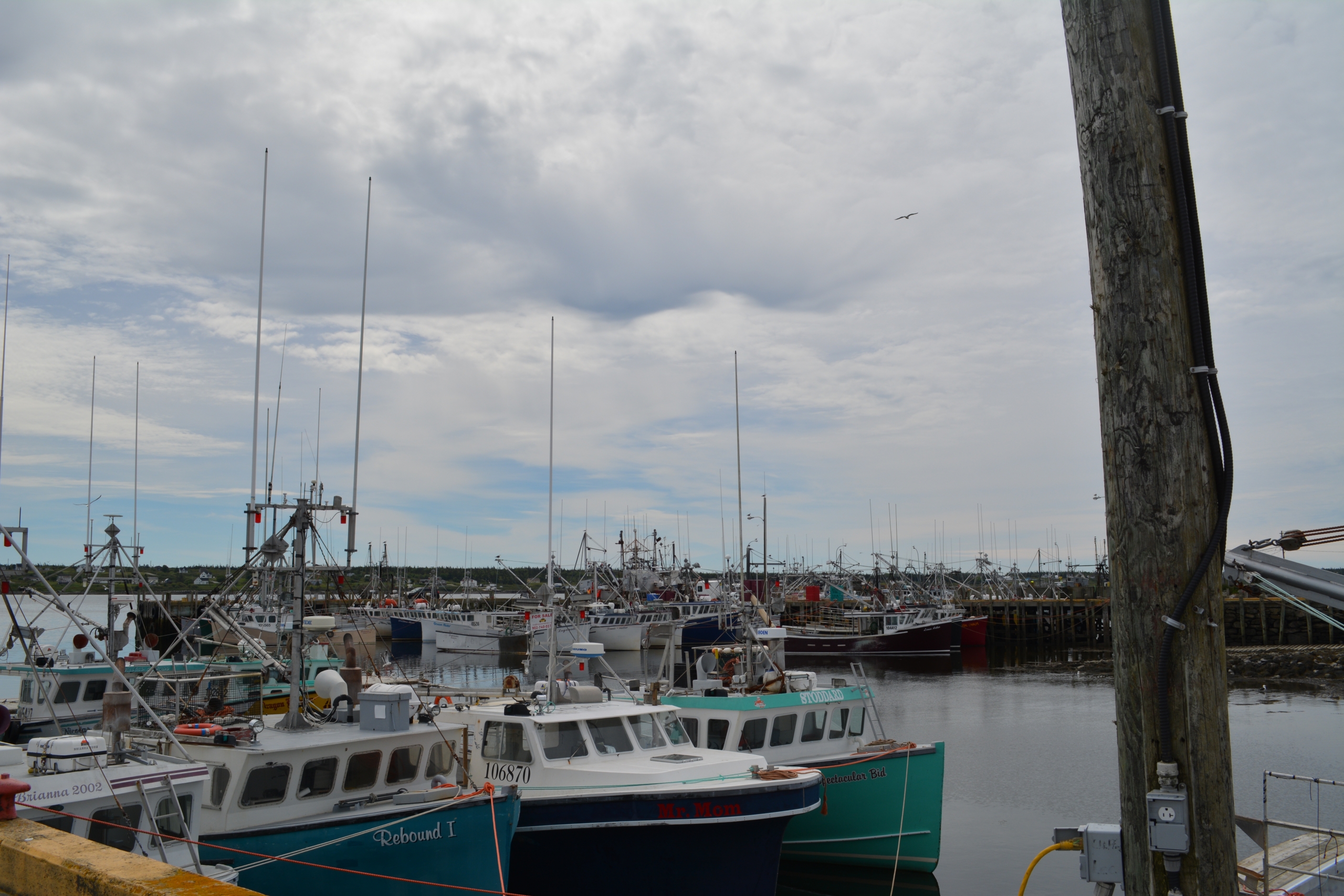 Dennis Point Wharf | Yarmouth & Acadian Shores