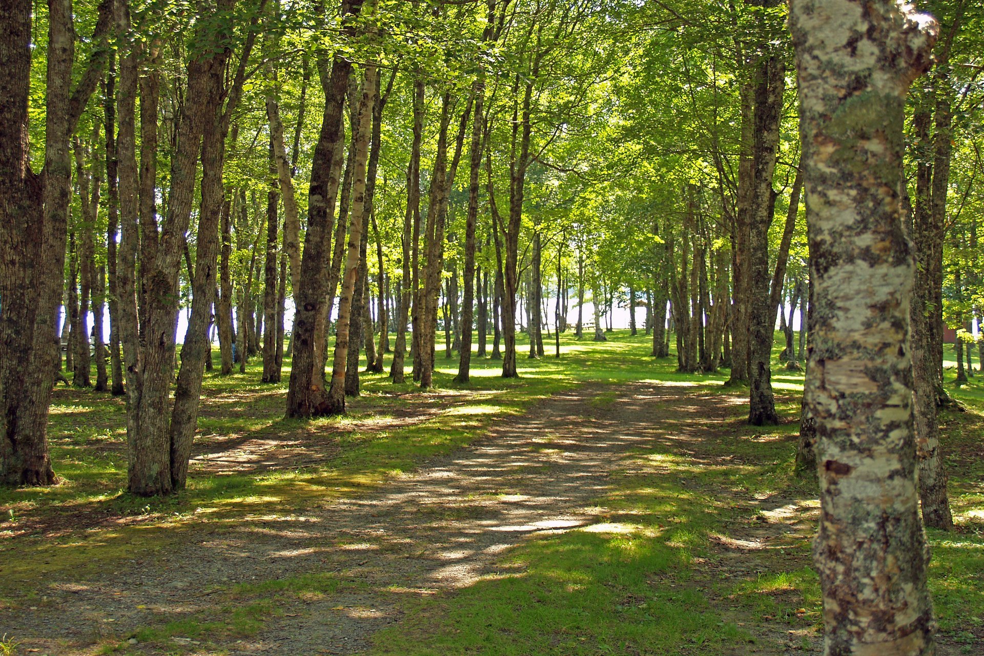 Ellenwood Lake Provincial Park | Yarmouth & Acadian Shores